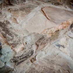 4f9bbf_de331a41da5c4244bf443bee6e458749_mv2_d_4256_2832_s_4_2